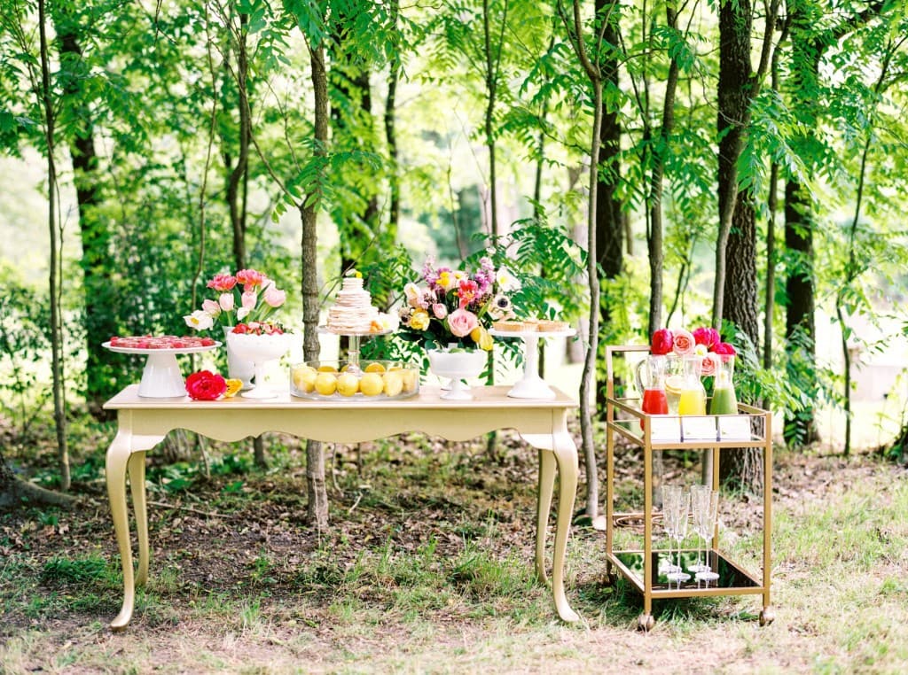 View More: http://dyankethleyphotographer.pass.us/bridal-party-brunch