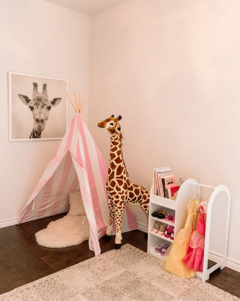 Maxi’s Playroom, Part 1