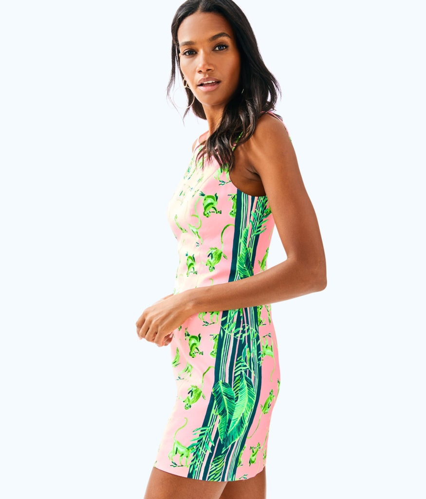Lilly pulitzer fawcett dress on sale