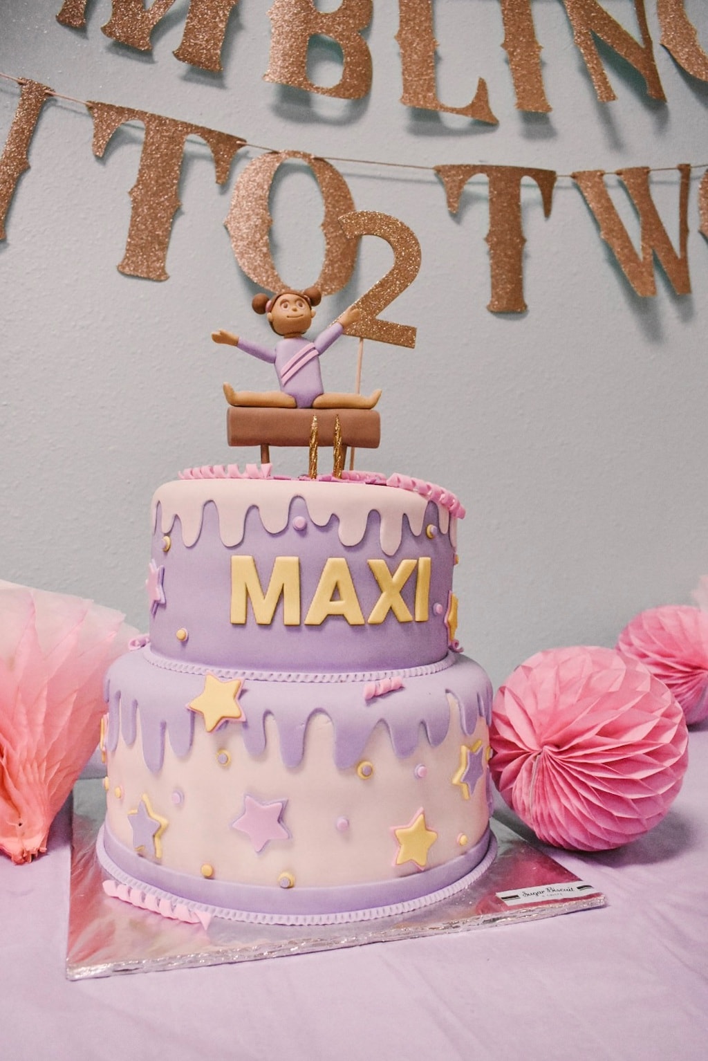Maxi's Second Birthday Party 
