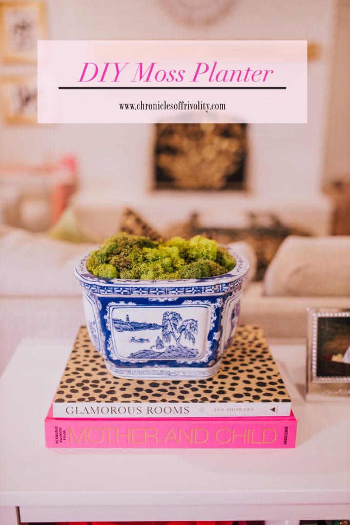 DIY Moss Planter  Chronicles of Frivolity