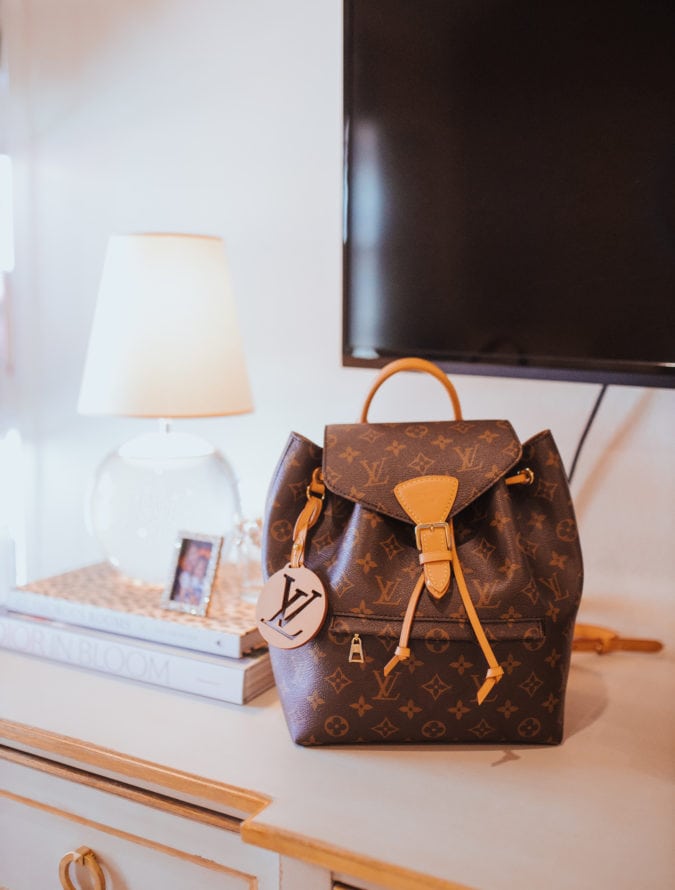 Louis Vuitton Palm Springs PM vs 2020 Montsouris PM, Which Is Better?